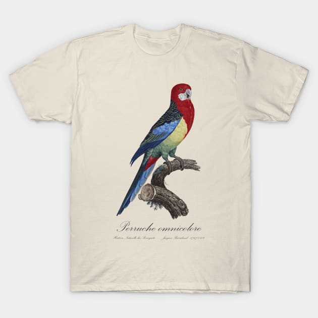 Eastern Rosella Parakeet / Perruche Omnicolore - 19th century Jacques Barraband Illustration T-Shirt by SPJE Illustration Photography